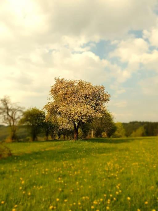 Le Haut' Mont Manhay Kültér fotó
